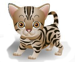 gato maracajá estilizado, o mascote do Guia Ilha